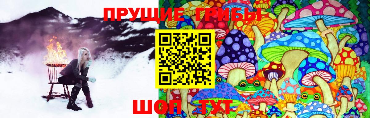 Псилоцибиновые грибы Cubensis  Галлюциногенные грибы GOLDEN TEACHER  Вход с VPN  Дзержинский 